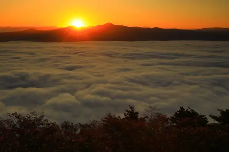 Mer de nuage au petit matin à Hokkaido