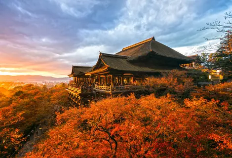 Easy access to Kiyomizudera with unlimited regional subway and buss pass!