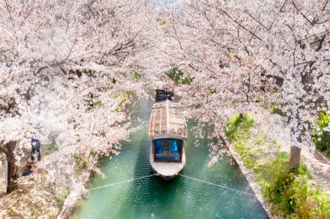 Le chemin de la philosophie au printemps à Kyoto