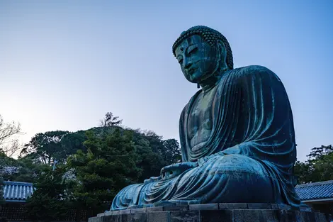 The Great Buddha of Kamakura 