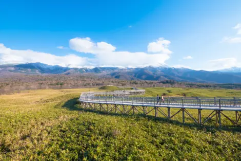 Parc National de Shiretoko, Hokkaido