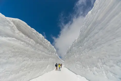 The Snow Walls of Tateyama-Kurobe