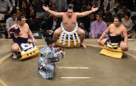 Ritual within the dohyo featuring the Yokozuna