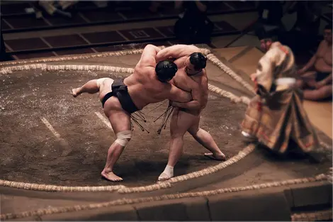 Rikishi wrestling in the dohyo