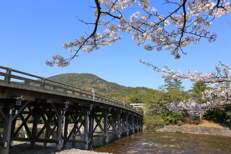 Bridge at Ise-Jingu during Spring