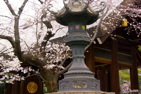 The Yasukuni Jinja in Tokyo is located in an environment dedicated to the History of the war in Japan.