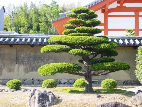 Temple Hôryûji