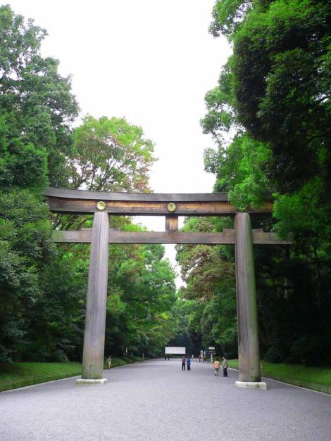 Pour accéder au sanctuaire Meiji-jingu, il faut traverser un bois de cent mille arbres et passer sous le grand torii.