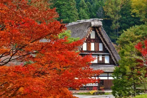 Maison traditionnelle de Hida-no Sato, à Takayama