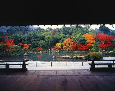 Vue sur l'étang du Tenryuji. 