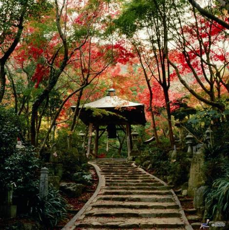 Ascenso al templo de Mitaki-dera
