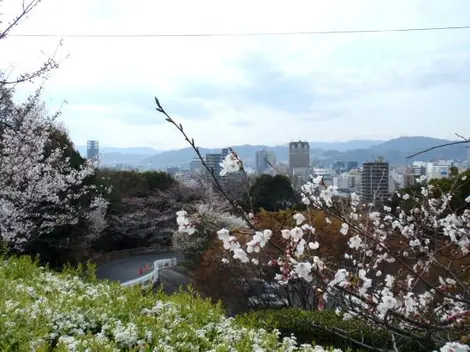 Parc Hijiyama-koen à Hiroshima