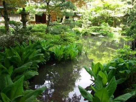 Estanque del jardín de la casa de té Gyokusen-en.