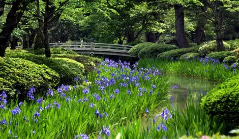 Jardin Kenroku-en