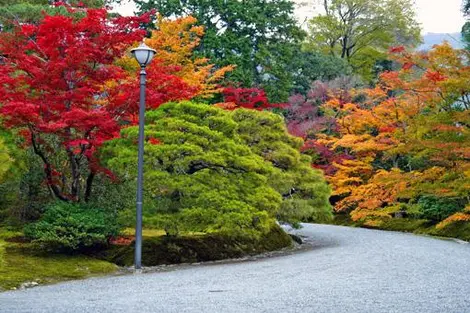 Colores de otoño en el jardín de la Villa Shugaku-in.