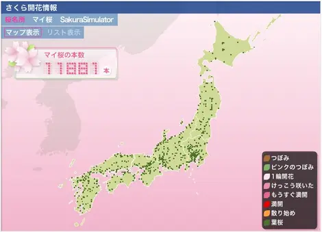 Mapping of flowering cherry blossoms in Japan (hanami).