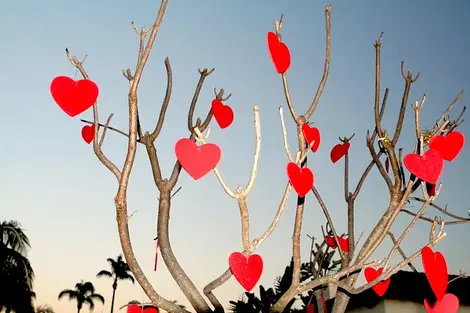 La Saint-Valentin s'est vite imposée comme un rendez-vous incontournable pour romantiques