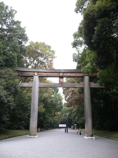 Tori du Meiji jingu le matin