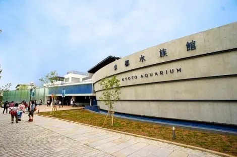 Inauguré en 2012, l'aquarium de Kyoto compte plus de 250 espèces différentes.
