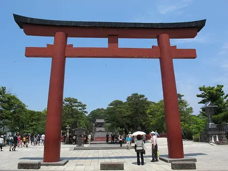 Die Torii markieren den Eingang zum Heiligtum Hachiman-gu in Tsurugaoku