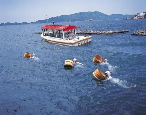 Ama : les plongeuses traditionnelles de Toba (Ise), spécialistes de la pêche aux huîtres.