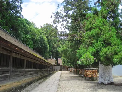 Los jukusha del Izumo Taisha donde vienes los kami en noviembre. 