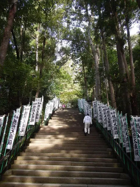 Una escalera empinada sube hasta el Hongu, el santuario más importante de Kumano.