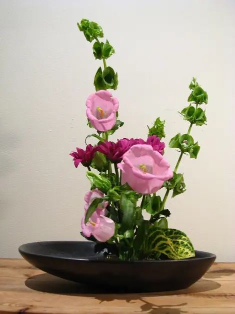 ikebana - ohara kaikan