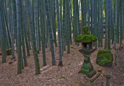 Linterna de piedra cubierta de musgo en el templo Hokoku-ji
