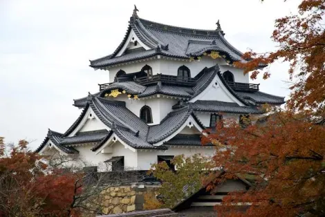 Le donjon du château de Hikone