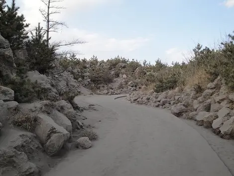 Los caminos a menudo están llenos de ceniza.