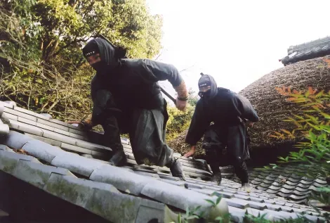 Togakure, l'école des ninjas