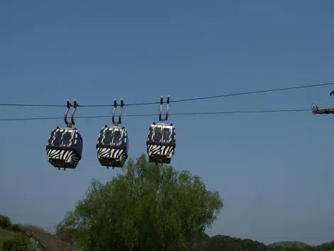 Le téléphérique qui survole le zoo du Himeji Central Park
