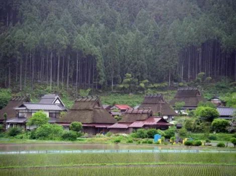 A Kayabuki no Sato on a la vraie sensation d'une communauté villageoise japonaise perdue au milieu des rizières.