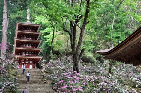 Le temple de Muroji est immergé dans la forêt, à Asuka