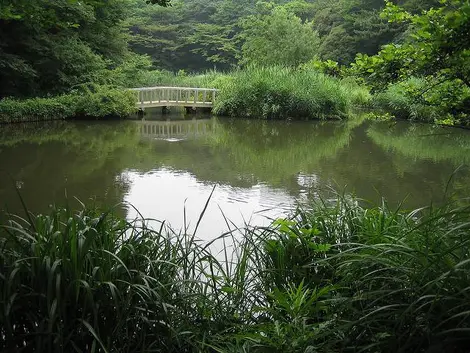 Institut d’Etude de la nature, Meguro