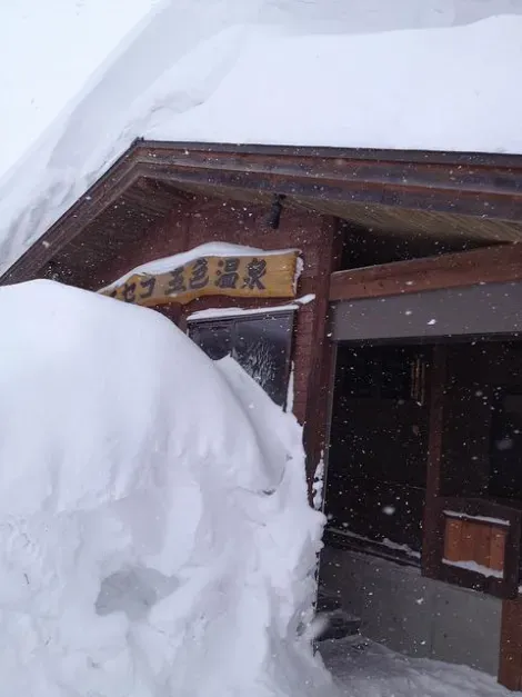 Il peut neiger beaucoup à Niseko
