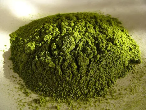 La thé matcha à l'état de poudre