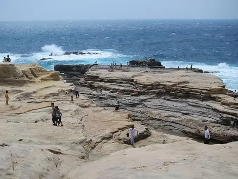 Les 1 000 tatami du plateau Senjojiki.