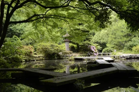 Un moment paisible au bord de l'étang du sanctuaire Oyama jinja