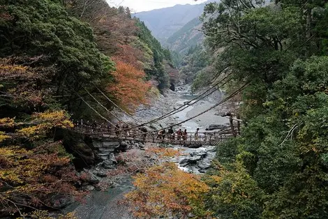 Un des ponts en lianes de vigne de la vallée d'Iya.