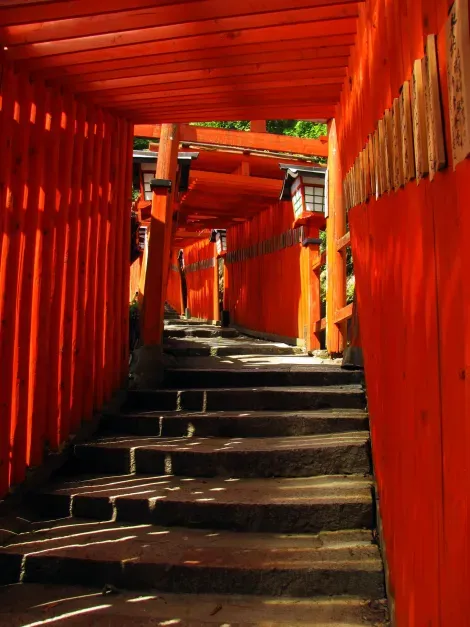 Le tunnel des mille torii menant au temple