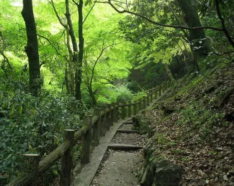Chemin le long du Mont Minoh au parc Meiji no Mori Minoo 