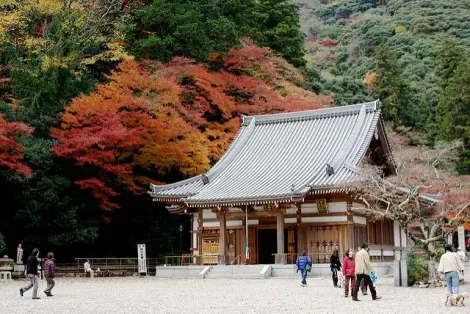 Temple Ryuan-ji, parc de Minoh
