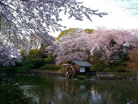 Park Nabeshima Shoto 