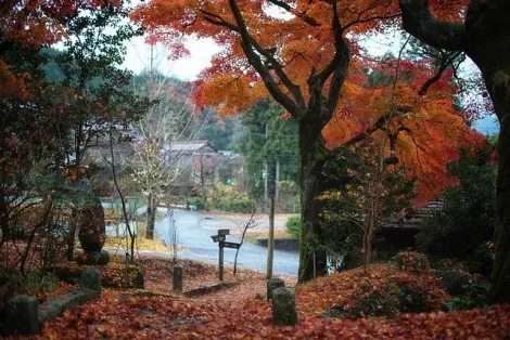 Le chemin de Nakasendo en automne
