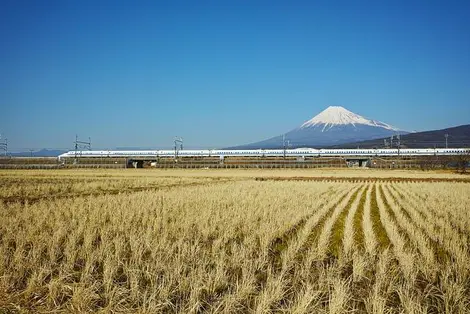 Admirez le Mont Fuji depuis le Shinkansen