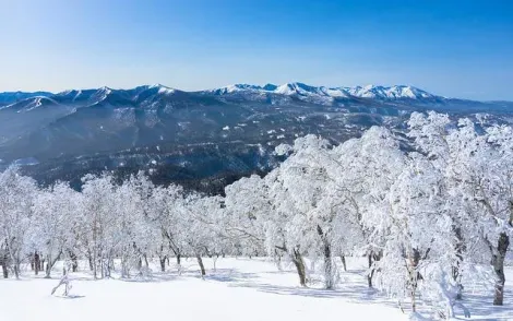 The Daisetsuzan national park in winter