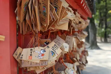 Plaquettes votives du sanctuaire Hakozaki-gû