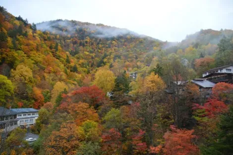 Quand Shirahone onsen revêt ses couleurs d'automne